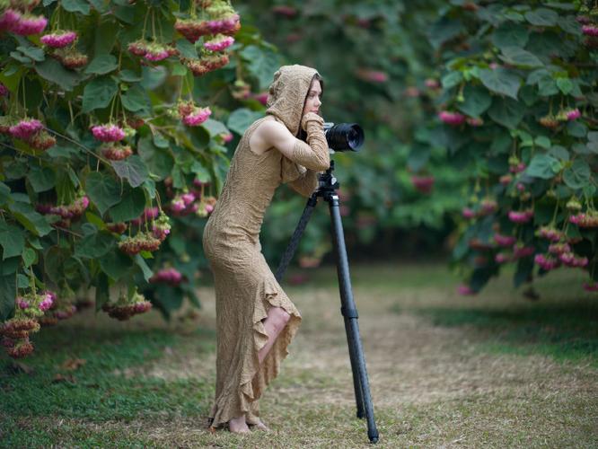 游戏直播-峡谷风云